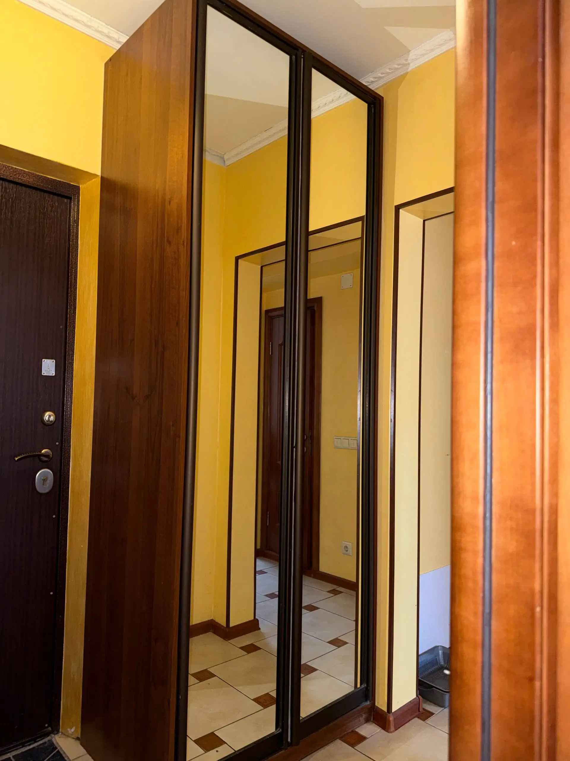 Продам двухстворчатый распашной шкаф - Мебель (Для дома и дачи) в Балашиха