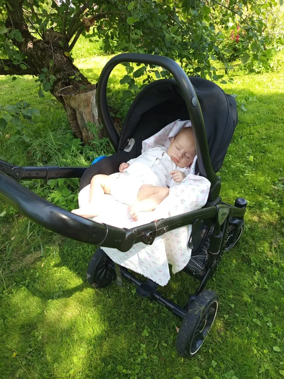 Коляска Anex Sport 3в1 с люлькой, прогулочным блоком и автолюлькой - Коляски (Товары для детей) в Балашиха