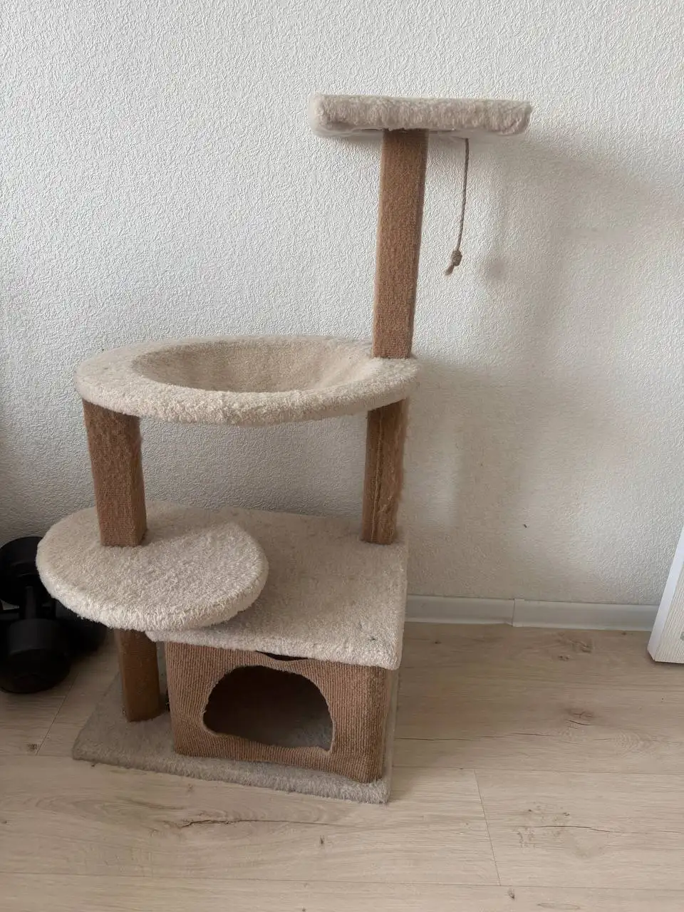 Дом для кота - Животные в Балашиха