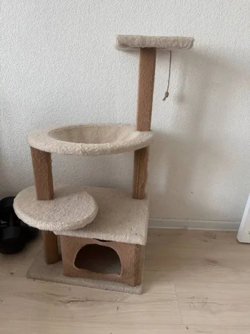 Дом для кота - Потерявшиеся животные в Балашиха