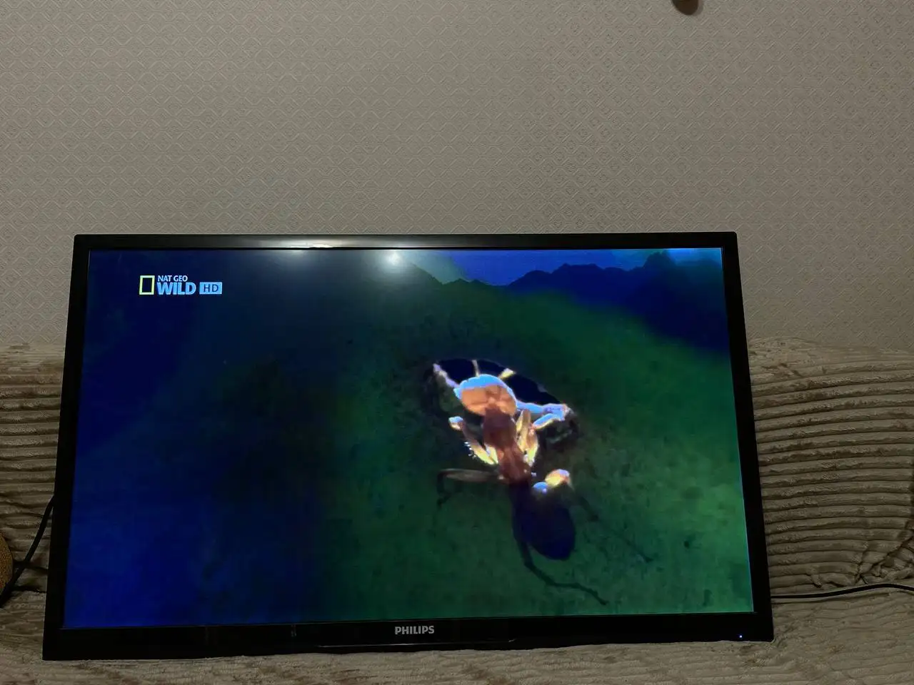 Телевизор Philips 42 дюйма на кронштейне - Телевизоры (Электроника) в Балашиха