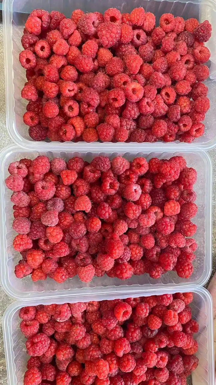 Продам замороженные ягоды