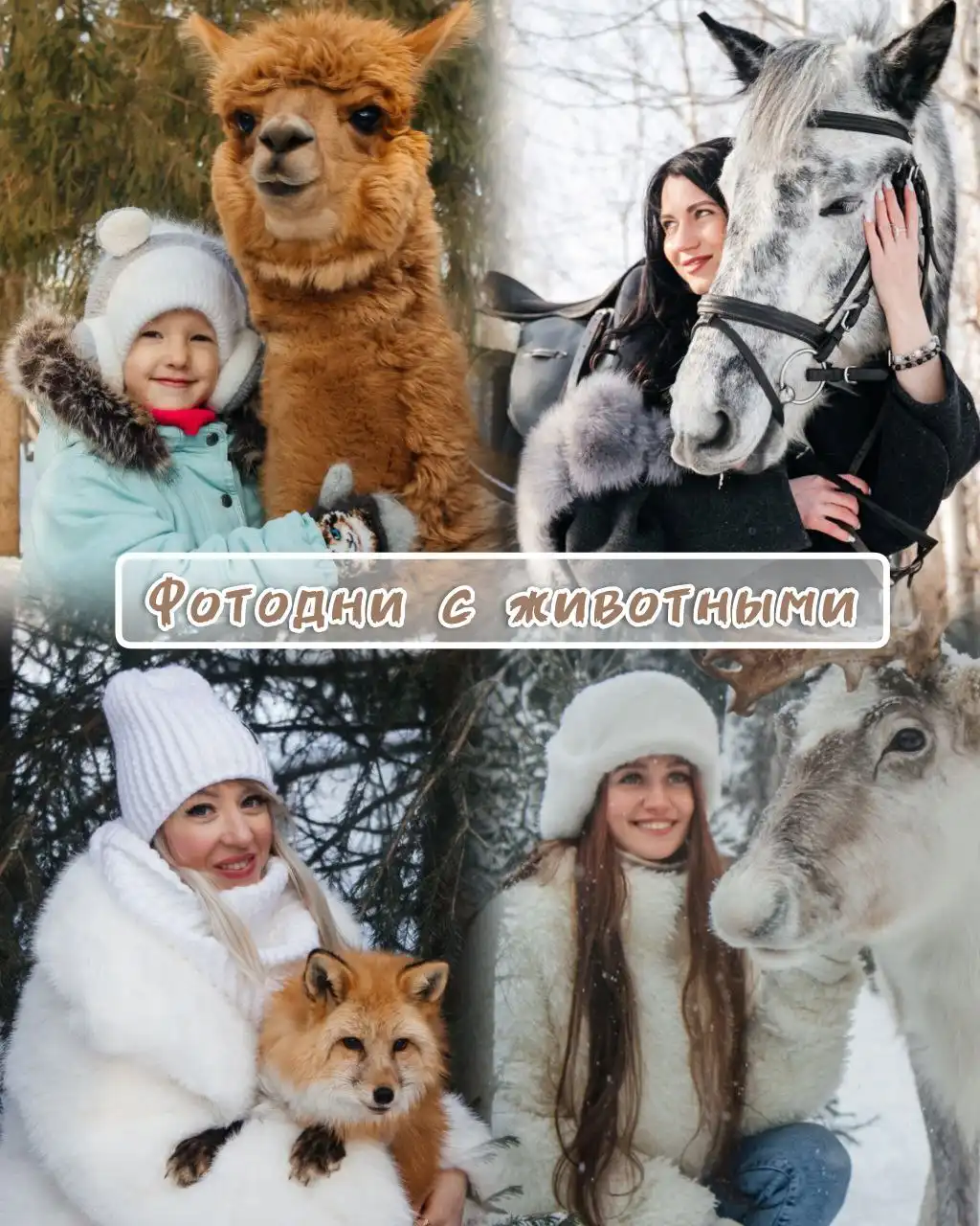 Фотосессии с животными на зимних локациях