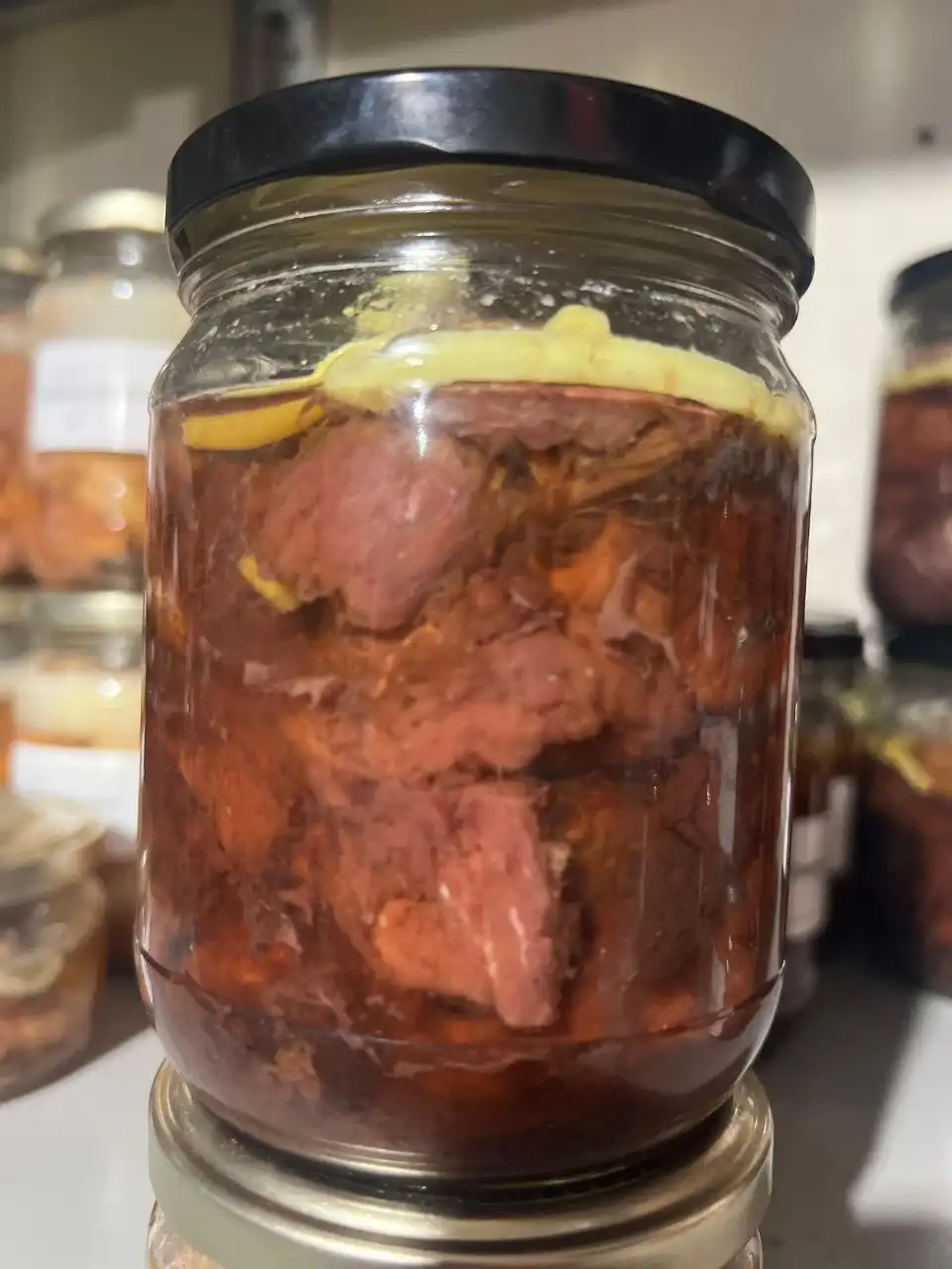 Домашняя тушенка из телятины