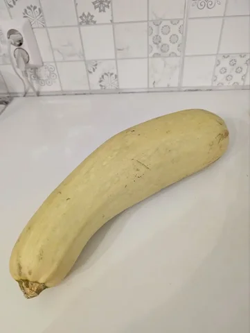 Кабачок с дачи - частное объявление в Новосибирск