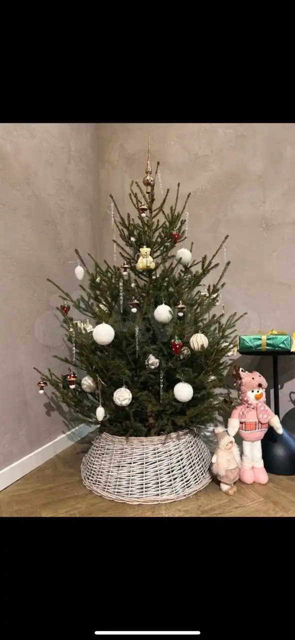 Новогодние ели с доставкой