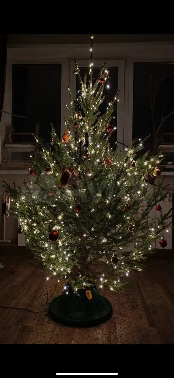 Новогодние ели с доставкой