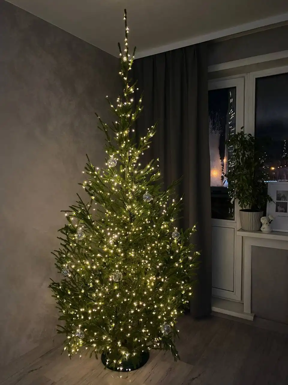 Настоящие Новогодние ели с доставкой