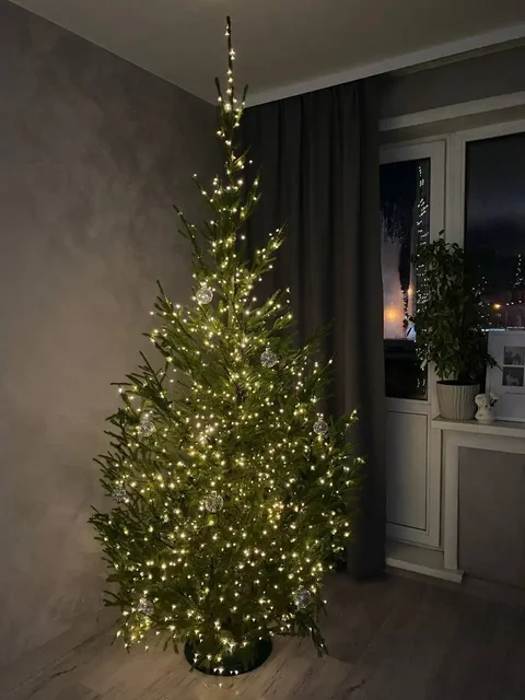 Настоящие Новогодние ели с доставкой - Хобби и отдых в Новосибирск