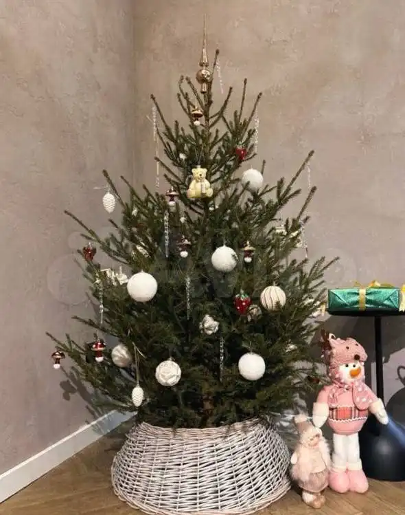 Настоящие Новогодние ели с доставкой