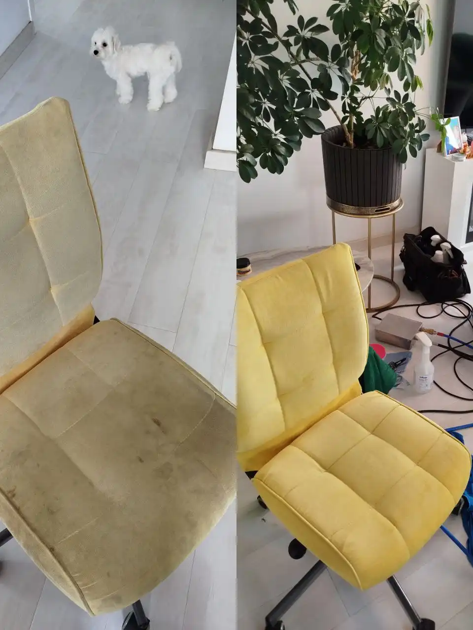 Профессиональная чистка мебели от пятен