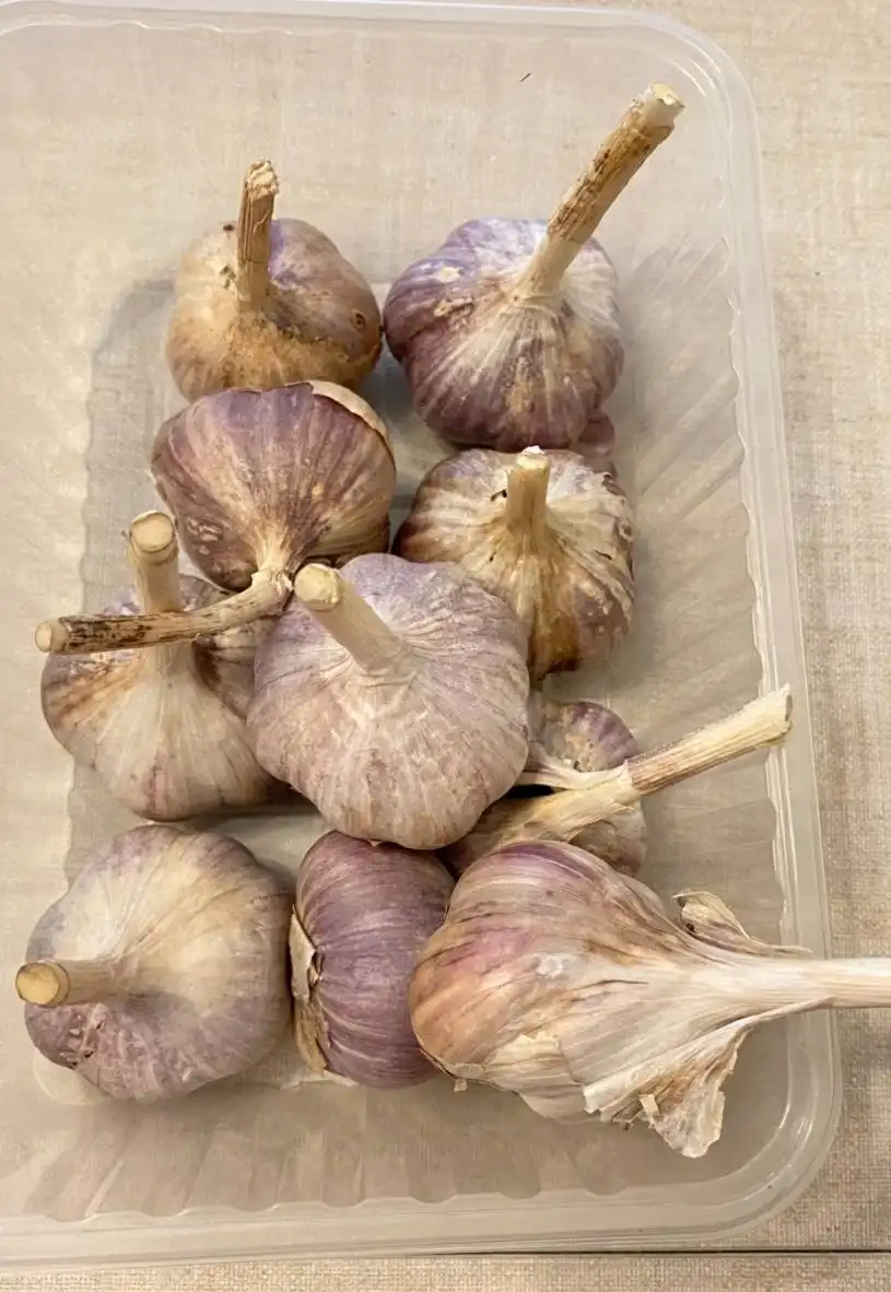 Продажа соленого папоротника и домашних заготовок