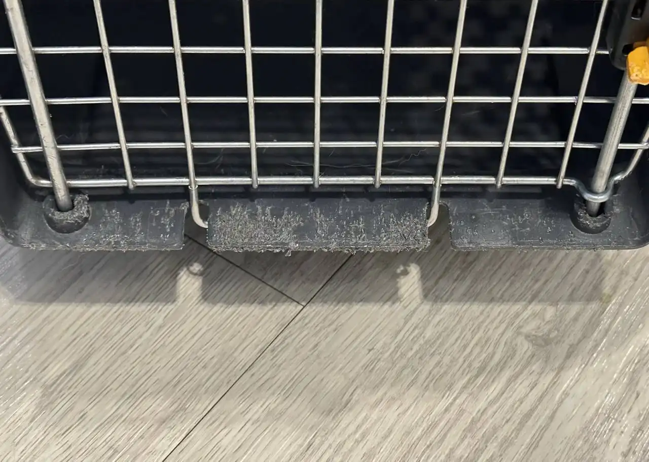 Продам переноску Scudo3