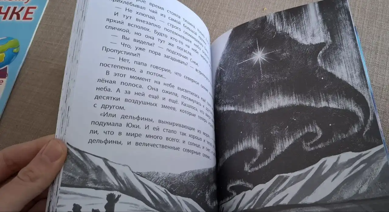 Продам зимнюю книгу о приключениях девочки - Книги (Хобби и отдых) в Новосибирск