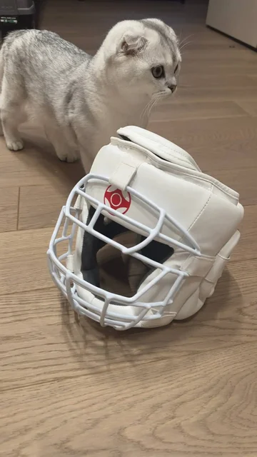 Шлем для карате новый - Коллекционные предметы в Новосибирск