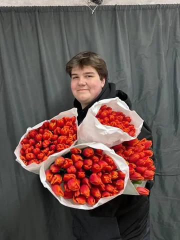 Свежие тюльпаны сорта Триумф к 8 марта - Коллекционные предметы в Новосибирск