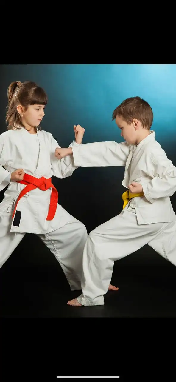 Набор в секцию Каратэ Киокусенкай в детском морском центре «Флагман» - Спортивные секции (Услуги) в Новосибирск