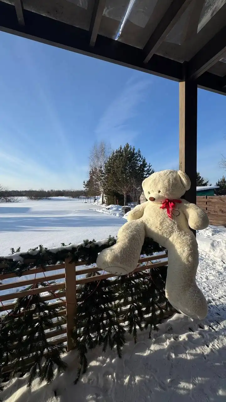 Сдам посуточно уютный дом на берегу озера в 30 мин от площади Калинина - Аренда домов (Недвижимость) в Новосибирск