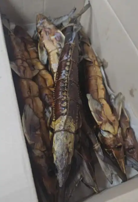 Продажа свежих морепродуктов в Новосибирске - Продукты питания (Барахолка) в Новосибирск