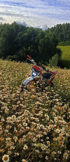 Продажа мотоцикла Атлет 250 с 110-120 моточасами - Обмен в Казань