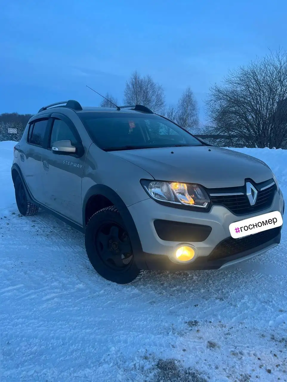 Renault Sandero Stepway 1.6 МТ 2018 года - Легковые автомобили (Авто) в Казань