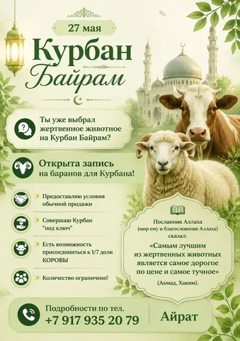 Запись на баранов для Курбана - Корма и лакомства в Казань