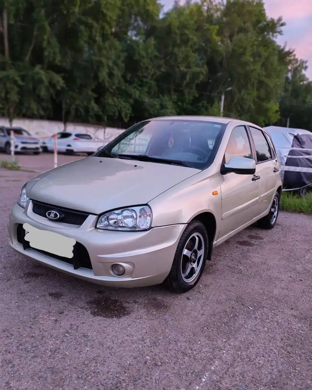 LADA Kalina 1.4 MT, 2010 - Легковые автомобили (Авто) в Чистополь