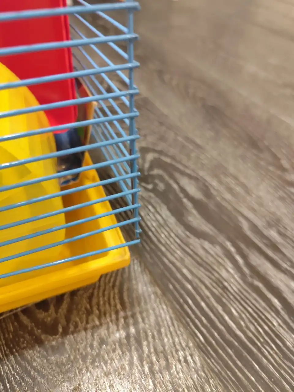 Набор для грызунов