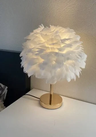 Настольная лампа с перьями - Для дома и дачи в Москва
