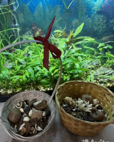 Плетеная корзина - Для дома и дачи в Балашиха