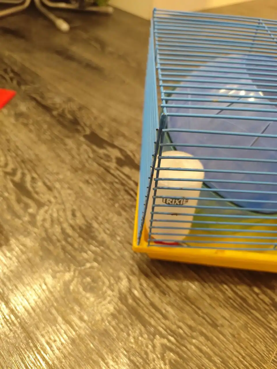 Набор для хомяка: клетка, колесо, поильник