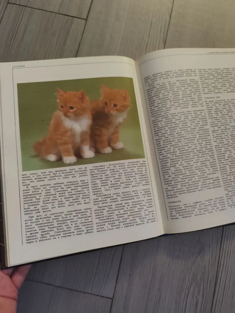 Книга о кошках