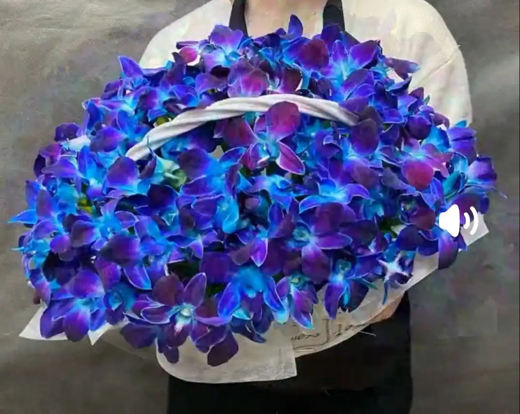 Предложение в чате Барахолка Москва