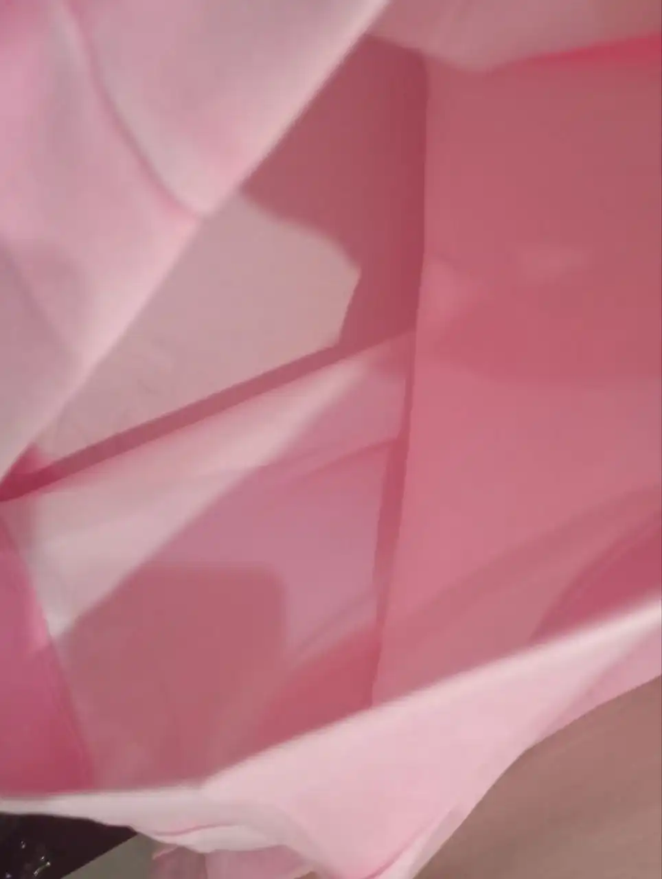 Свитшот новый, цвет розовый/светлый, хлопок 100% - Свитшоты (Одежда) в Москва