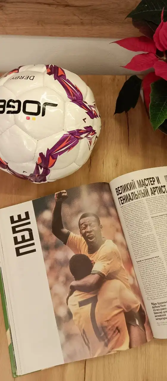 Иллюстрированная энциклопедия мирового футбола - Книги (Хобби и отдых) в Москва