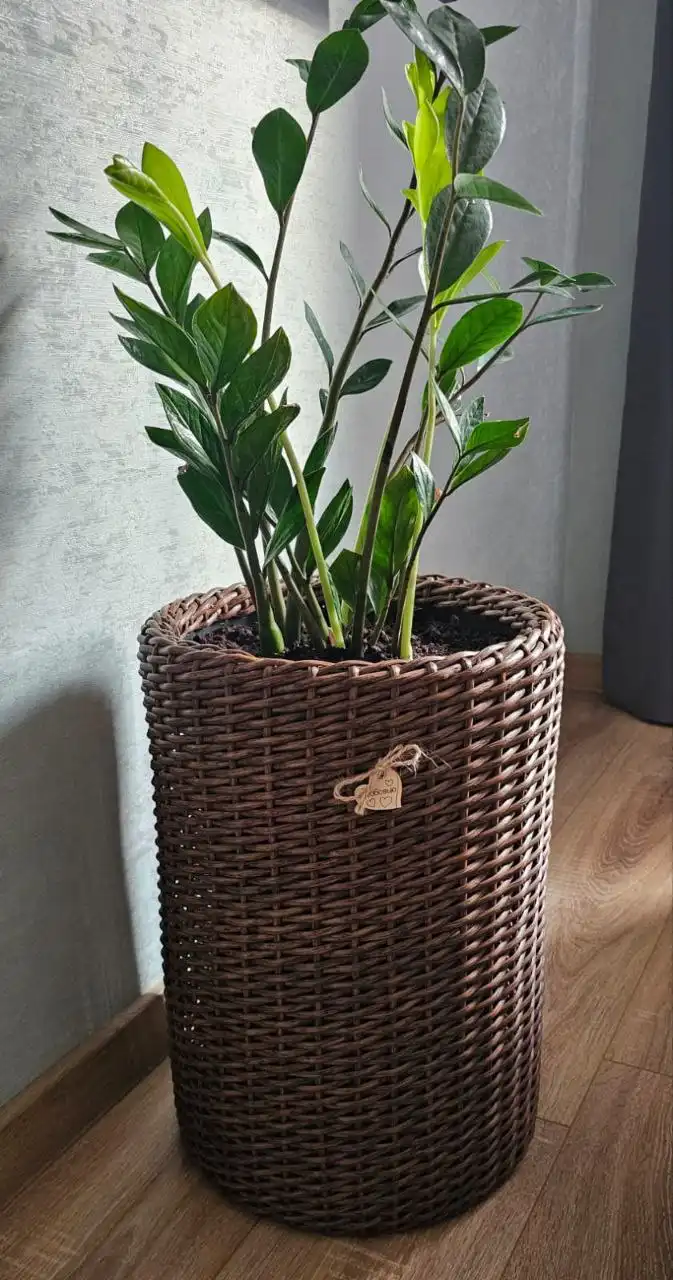 Изделия ручной работы из искусственного ротанга от Анны - Хобби и отдых в Наро-Фоминск