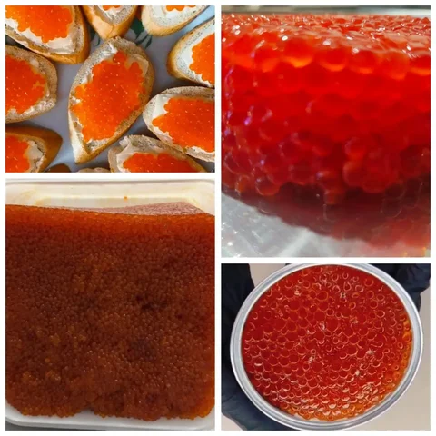 Продажа икры 1-го сорта в Уссурийске - частное объявление в Уссурийск