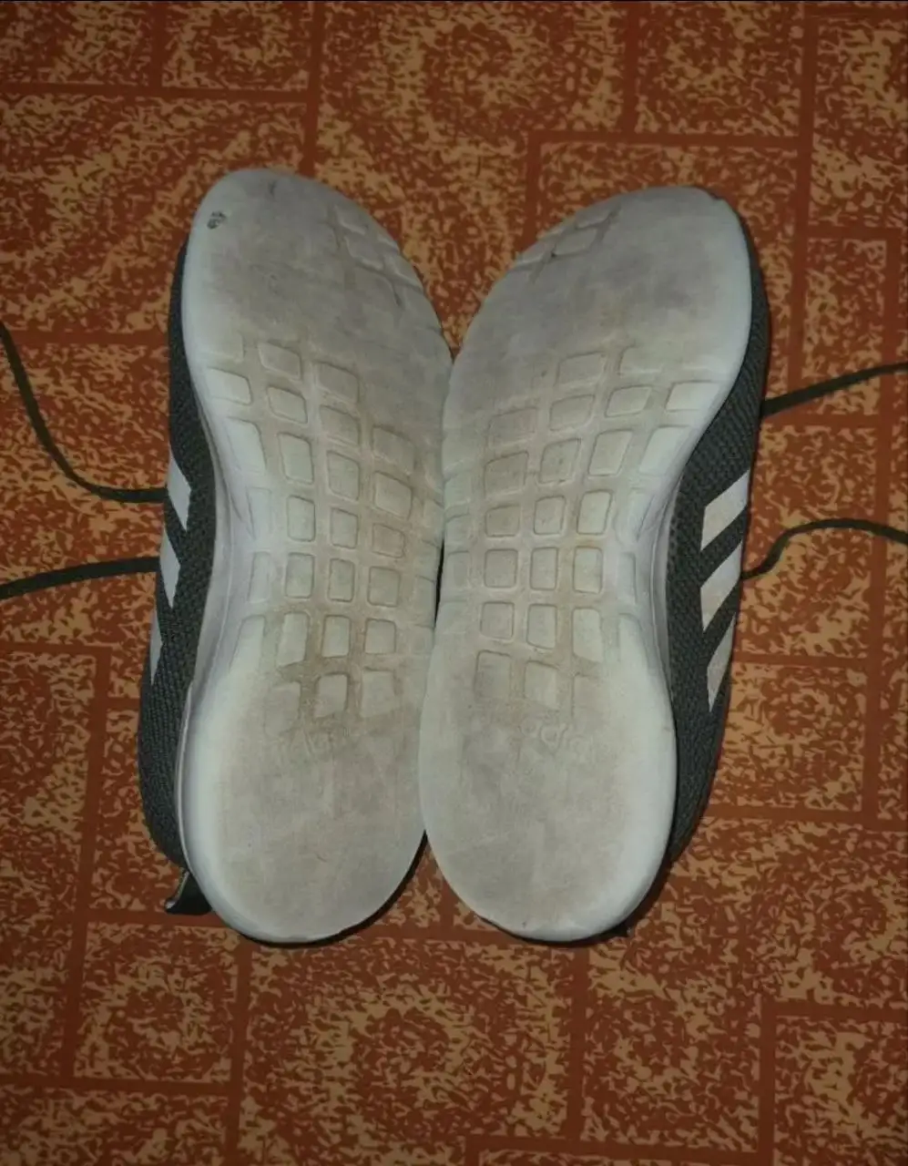 Оригинальные кроссовки Adidas 2019 года - Обувь (Одежда) в Москва