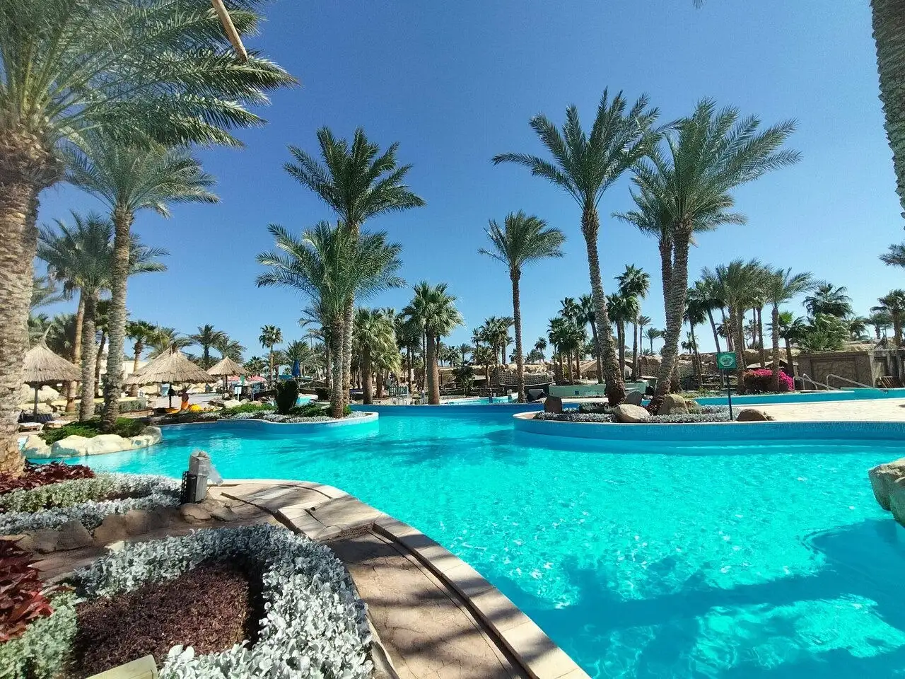 Тур в Египет, Шарм-эль-Шейх, отель Pickalbatros Golf Beach Resort 5* - Туры (Хобби и отдых) в Москва