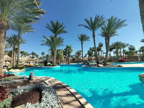 Тур в Египет, Шарм-эль-Шейх, отель Pickalbatros Golf Beach Resort 5* - Игровые кресла в Москва