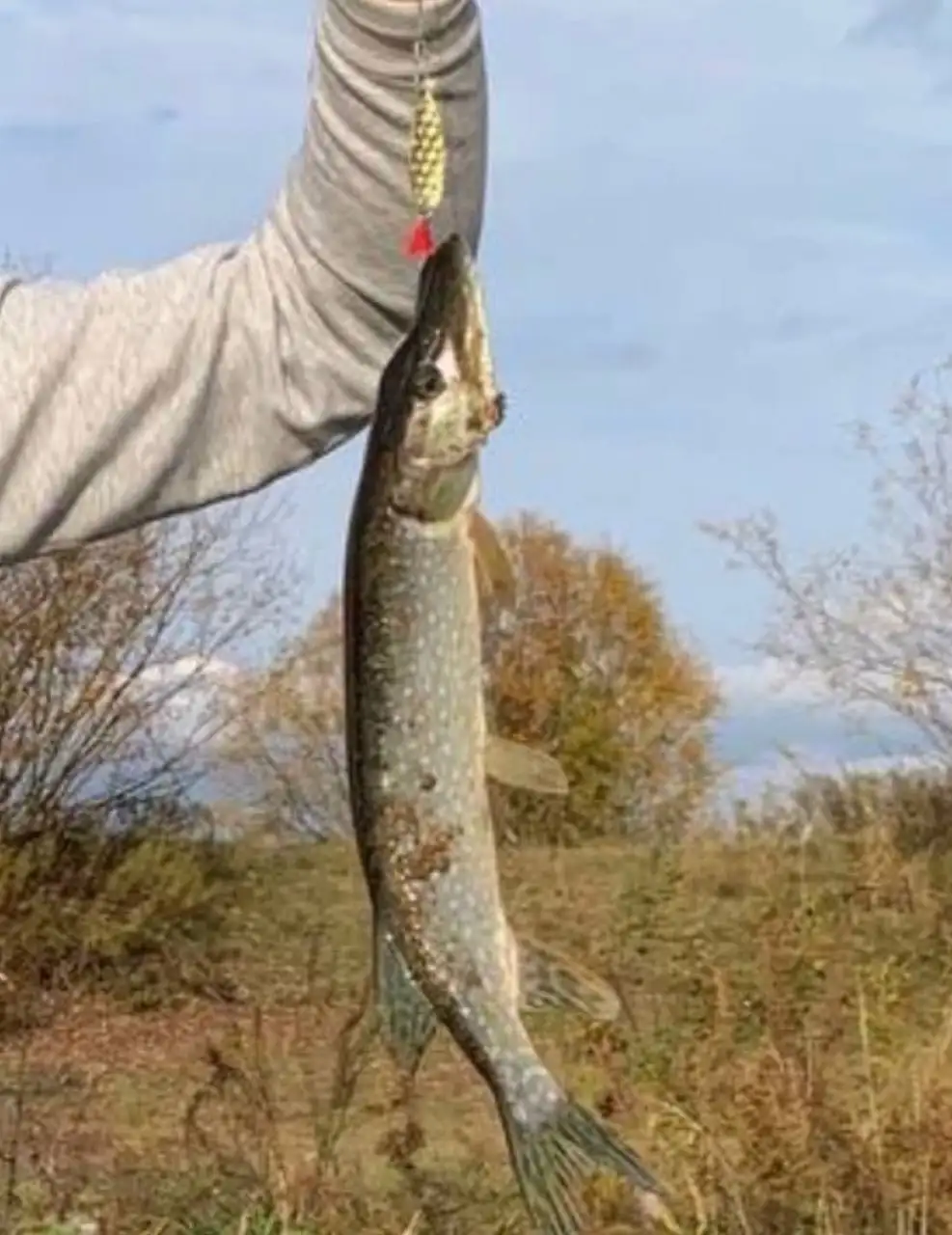 Продам набор из 10 блесен колебалки - Рыбалка (Барахолка) в Москва