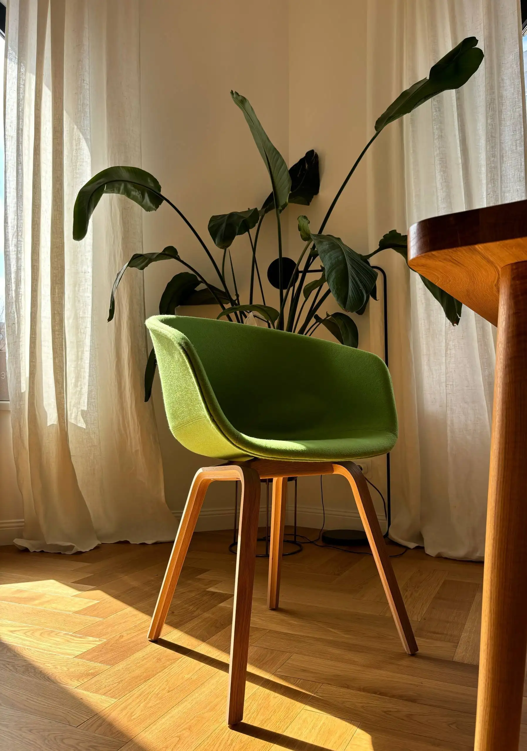 Дизайнерские стулья AAC 23 от HAY - Мебель (Барахолка) в Москва