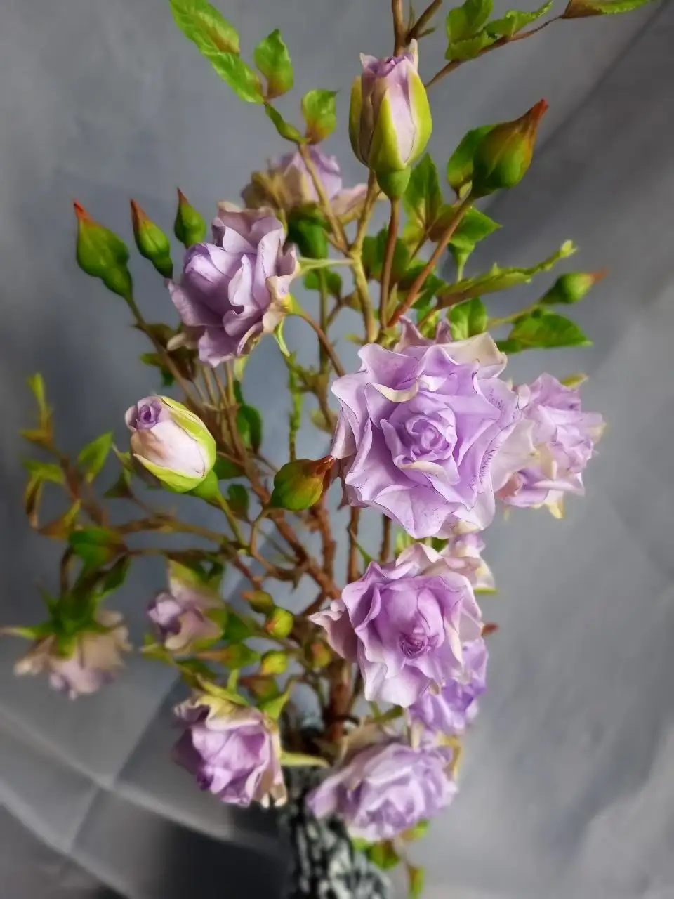 Нежная плетистая роза из холодного фарфора - Рукоделие (Хобби и отдых) в Москва