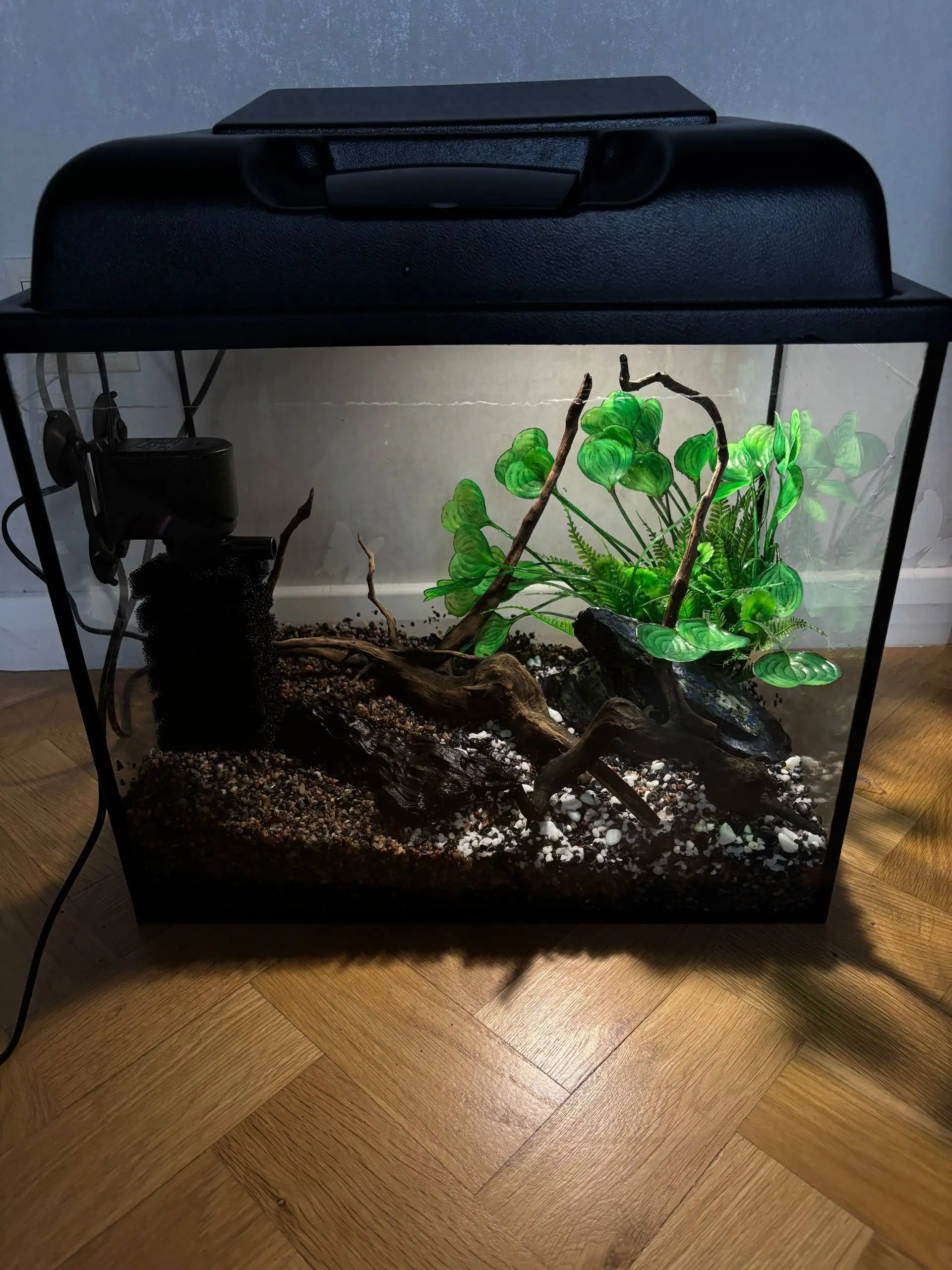 Аквариум Gold Fish 35 л с фильтром Tetra и декором - Аквариумистика (Хобби и отдых) в Москва