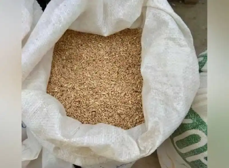 Продажа пшеницы и кормов для животных