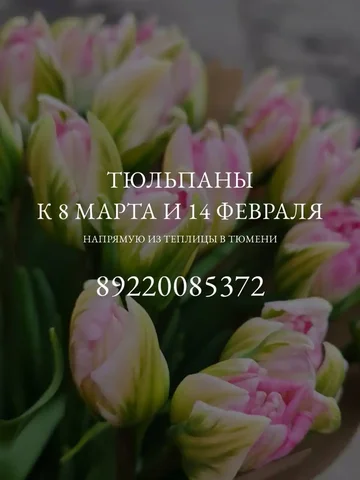 Тюльпаны из теплицы в Тюмени - Украшения ручной работы в Тюмень