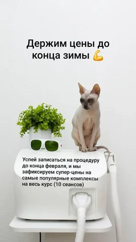 Депиляция зон бикини, подмышек и ног - Массаж и релаксация в Тюмень