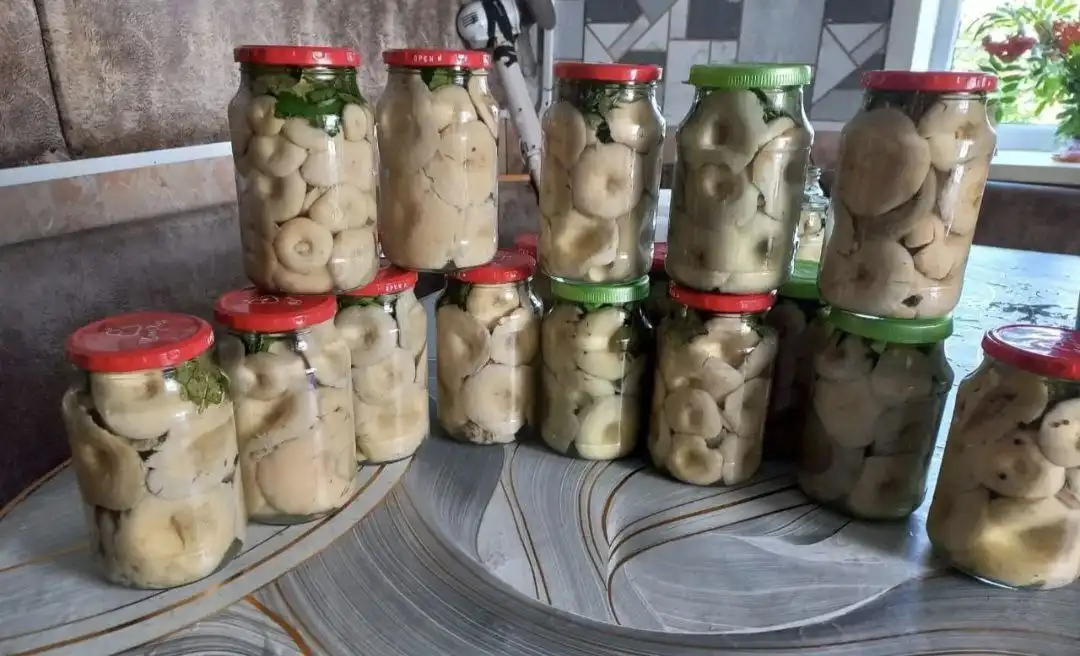 Продажа клюквы и груздей - Продукты питания/грибы-ягоды (Хобби и отдых) в Тюмень