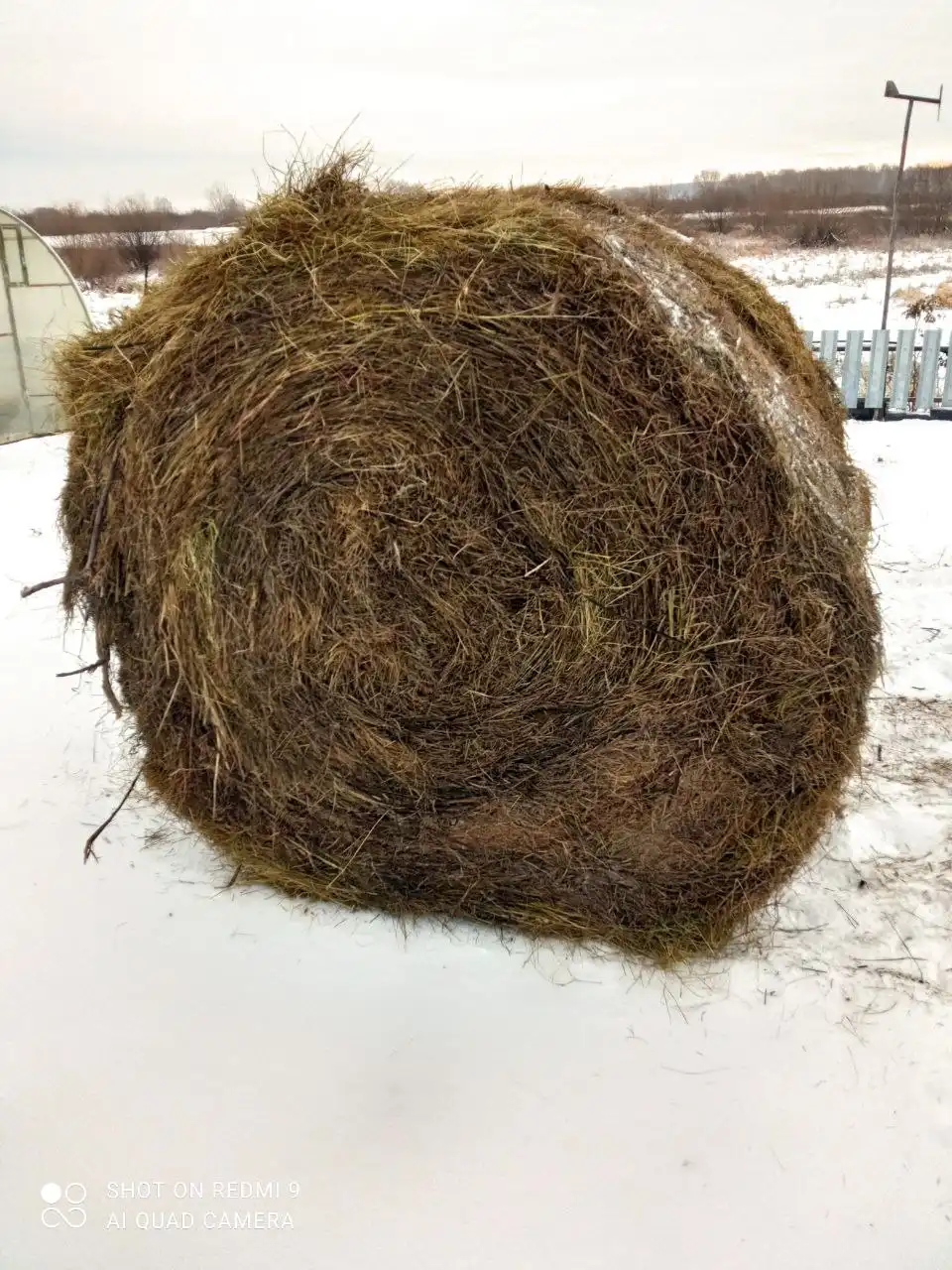 Продажа сена 2025 года - Сельхозпродукция (Барахолка) в Кулаково