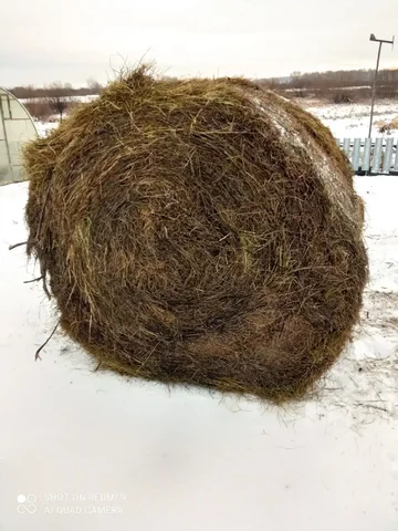 Продажа сена 2025 года - частное объявление в Кулаково
